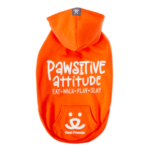 Best Friends Pawsitive Attitude Dog Hoodie - Orange, Small