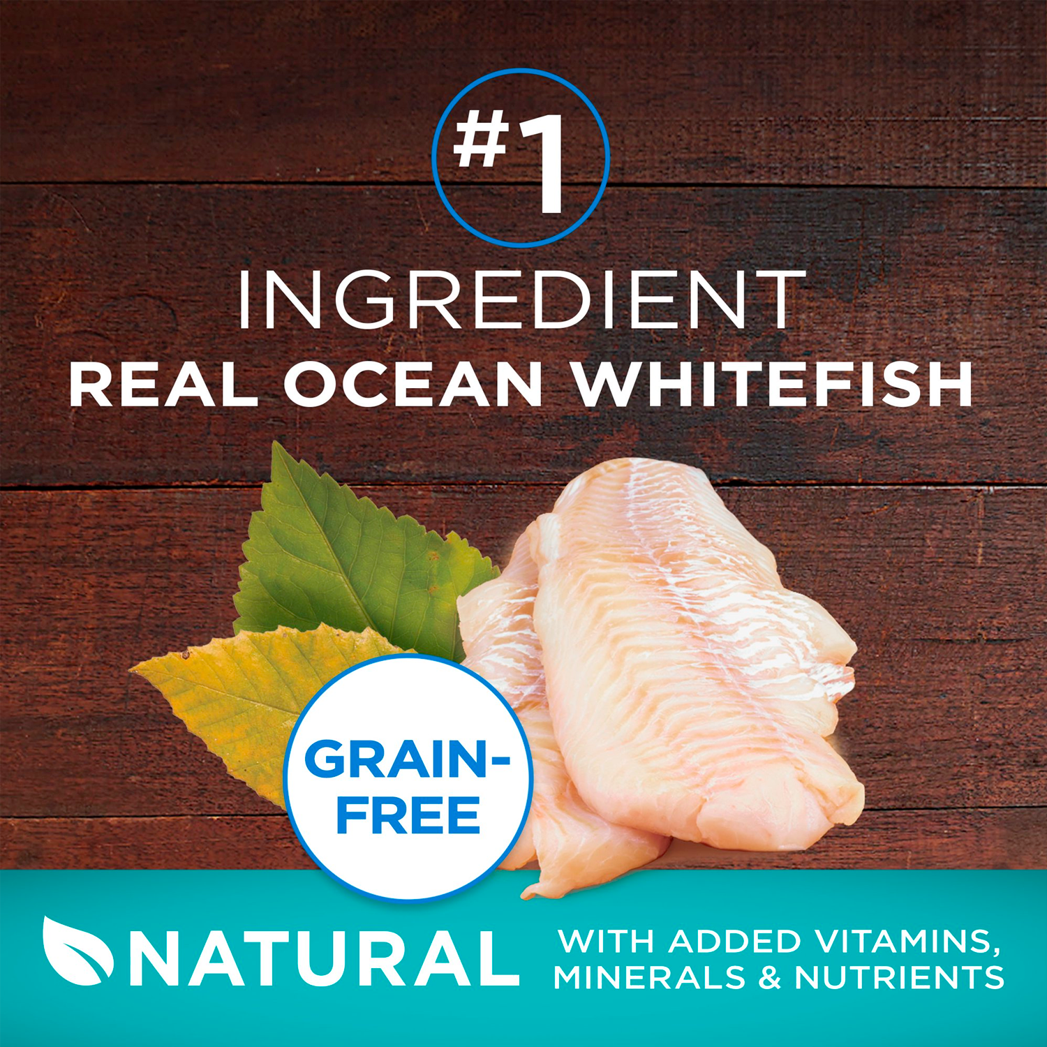 Purina One True Instinct Dry Cat Food Ocean Whitefish, Grain-Free, 3.2 lb Bag - Imagen 3